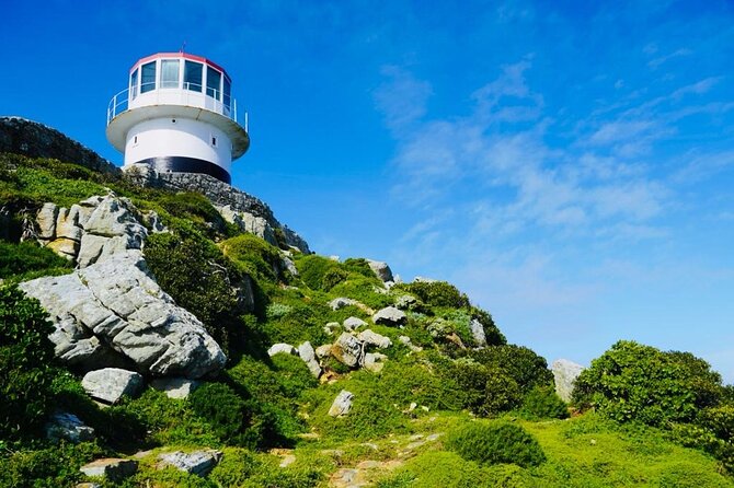 Small Group Tour: Penguins, Cape Point and Cape of Good Hope - Maiden’s Cove and the Atlantic Seaboard Photo Circuit