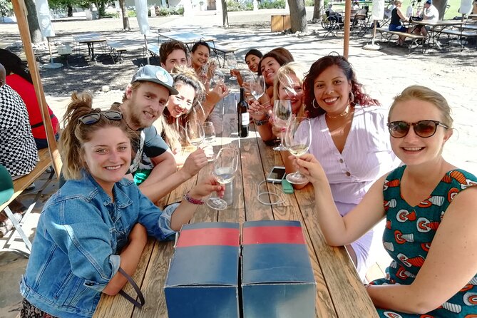 Small Group tour to Stellenbosch with wine tasting - Stop 1: DeMorgenzon Winery, Music to the Vines and an Award-Winning Chardonnay