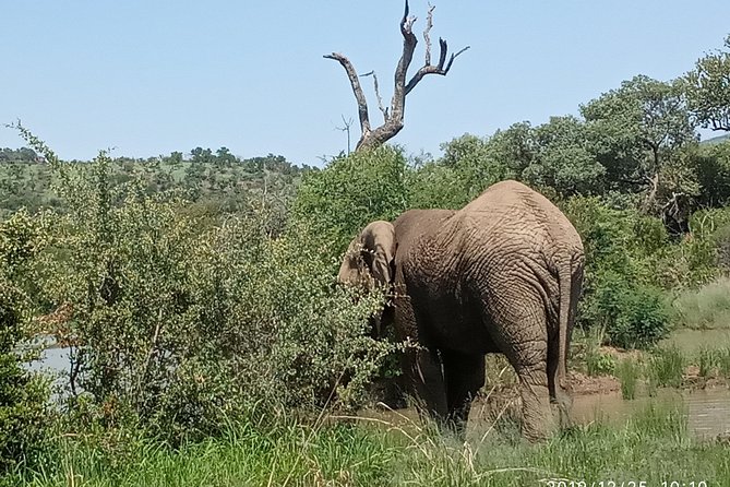 Soweto & Apartheid Museum, Cultural Village, Wildlife and Safari - Day 3 Safari Timing: Choose Morning or Later Game Drive