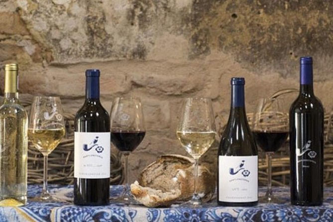 Splendour in the Winelands - Private Tour - Stop one at Stellenbosch Wine Routes: gardens plus first tastings