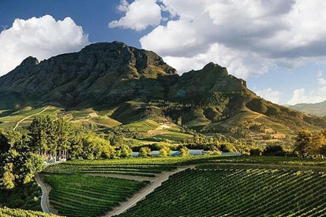 Splendour in the Winelands - Private Tour - Price and what $244.36 per person really buys
