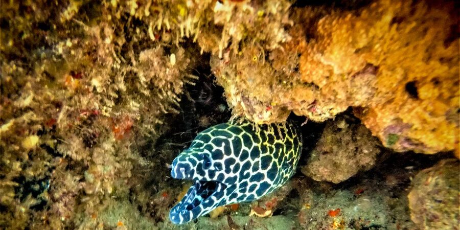 St. Lucia: Cape Vidal Snorkeling Adventure - Where Cape Vidal Fits Into iSimangaliso Wetland Park