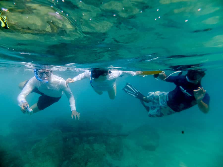 St. Lucia: Cape Vidal Snorkeling Adventure - Fish ID on Land: The Part That Makes It Stick