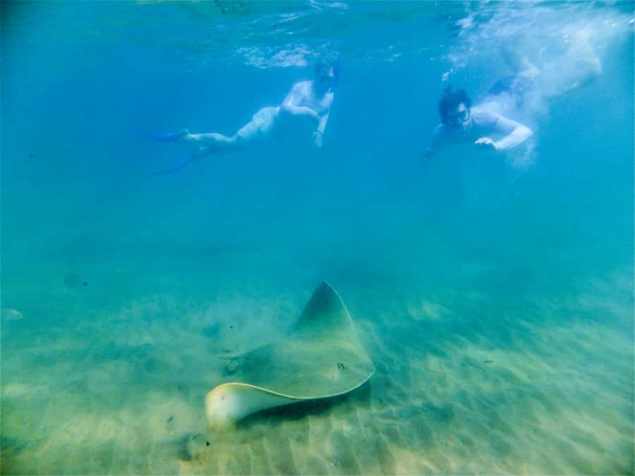 St. Lucia: Cape Vidal Snorkeling Adventure - What to Bring (So You Do Not Waste Time at the Beach)