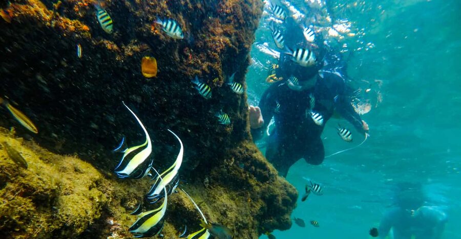 St. Lucia: Cape Vidal Snorkeling Adventure - The Booking Decision: Should You Book Cape Vidal Snorkeling?