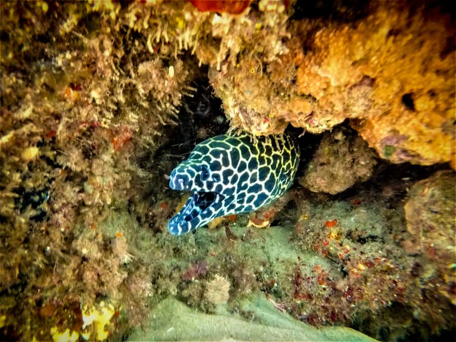 St. Lucia: Cape Vidal Snorkeling Adventure - Meeting, Safety Briefing, and Snorkel Gear Check