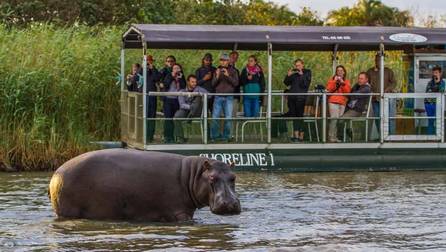 St Lucia: Hippo and Crocodile Cruise on a 15-Seat Vessel - From Siyabonga Jetty to the Estuary: the setup that matters