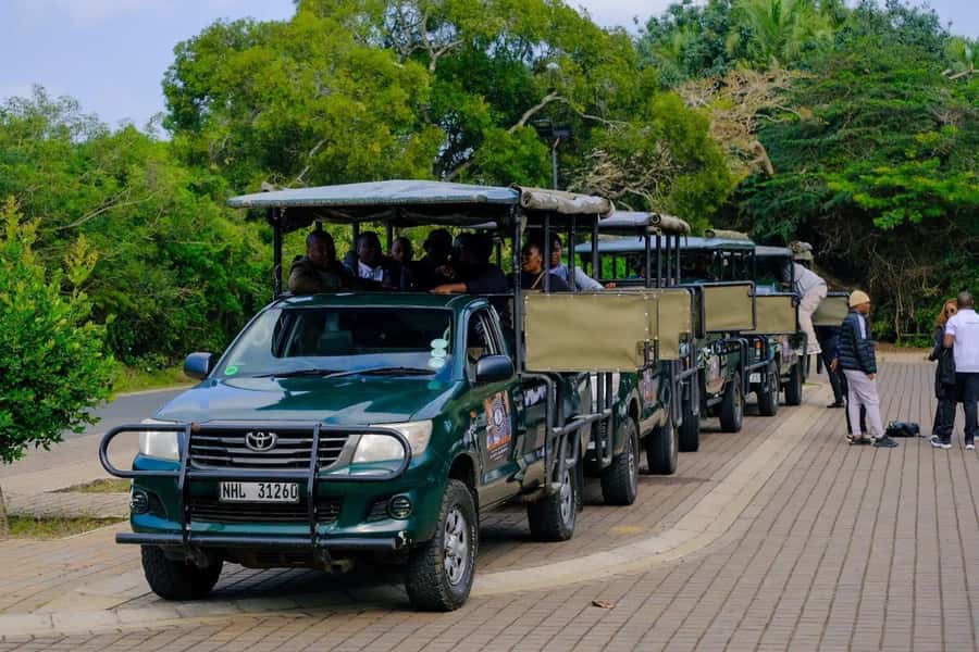 St Lucia: iSimangaliso Wetland Park: Full-Day/Half-Day Tour - Key points before you go