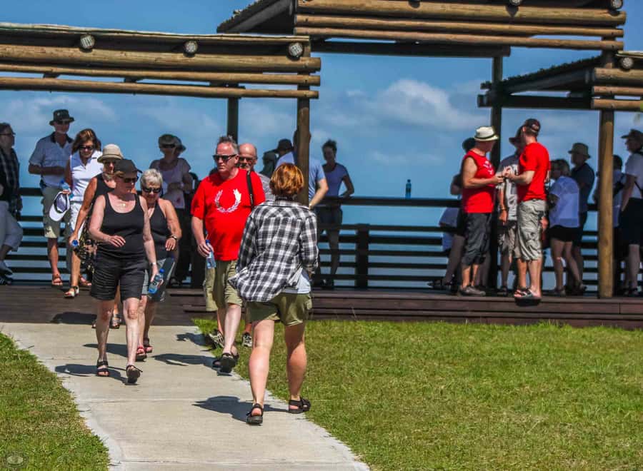 St Lucia: iSimangaliso Wetland Park: Full-Day/Half-Day Tour - The animals you’re really hunting, plus the sightings you should plan for