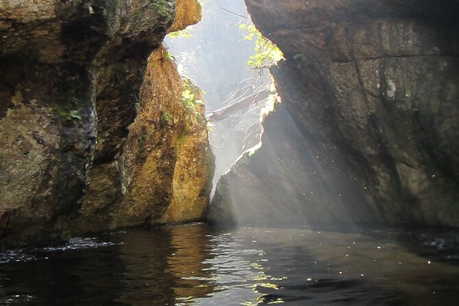 Standard Canyoning Trip in The Crags, South Africa - Guides make the day feel safe and fun
