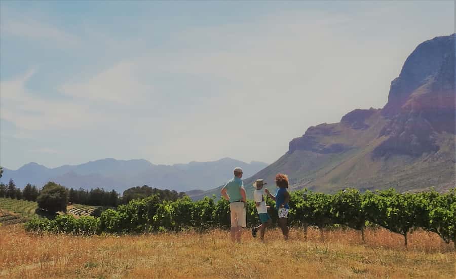 Stellenbosch: 4x4 Winelands Private Experience - Key Things You’ll Love About This 4x4 Winelands Day