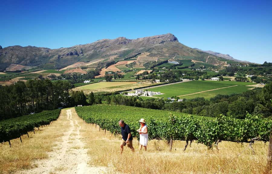 Stellenbosch: 4x4 Winelands Private Experience - Why a 4x4 Winelands Tour Feels More Like a Day Out Than a Bus Ride