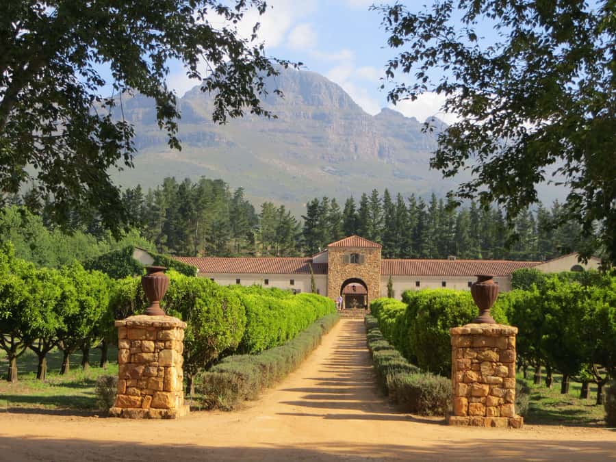 Stellenbosch: All-inclusive Private Wine Tour & Tastings - How the town intro sets up the wine tasting