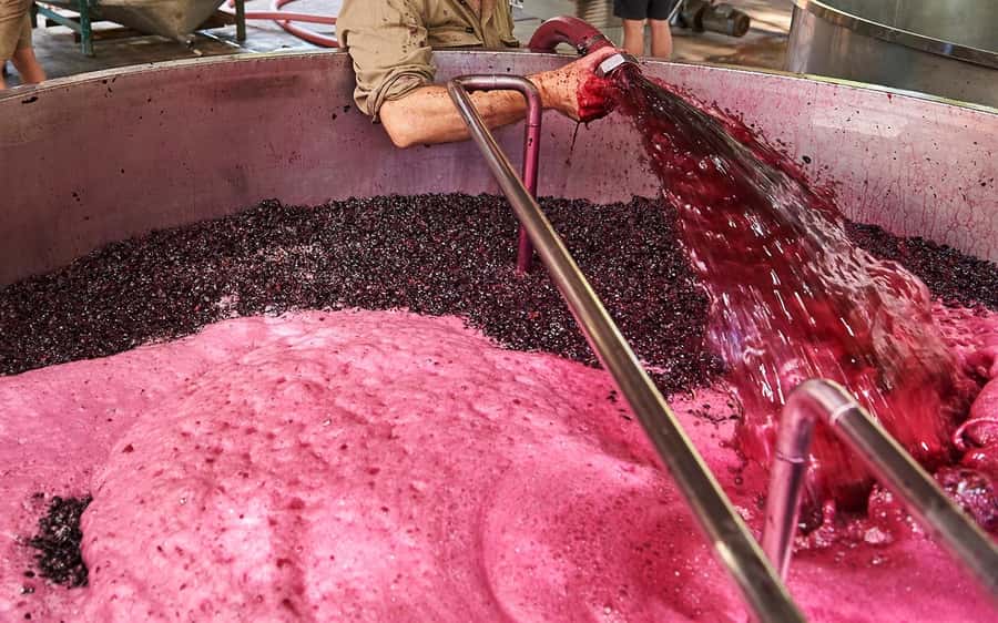 Stellenbosch: All-inclusive Private Wine Tour & Tastings - The winery mix: boutique stops plus older producers off the beaten track