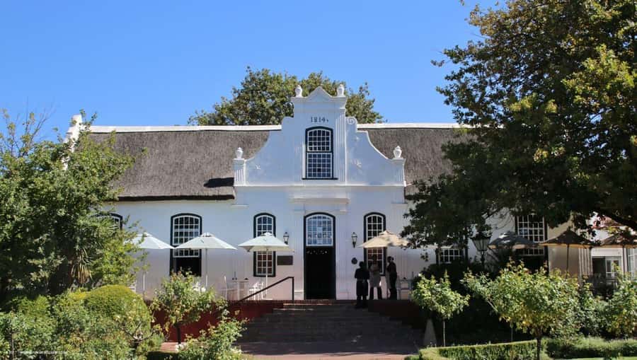 Stellenbosch: All-inclusive Private Wine Tour & Tastings - Vineyard walk-and-talk plus a possible cellar tour