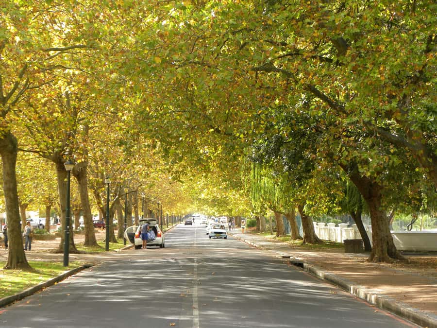 Stellenbosch: All-inclusive Private Wine Tour & Tastings - Wine tasting, food pairings, and the snack platter that keeps you happy