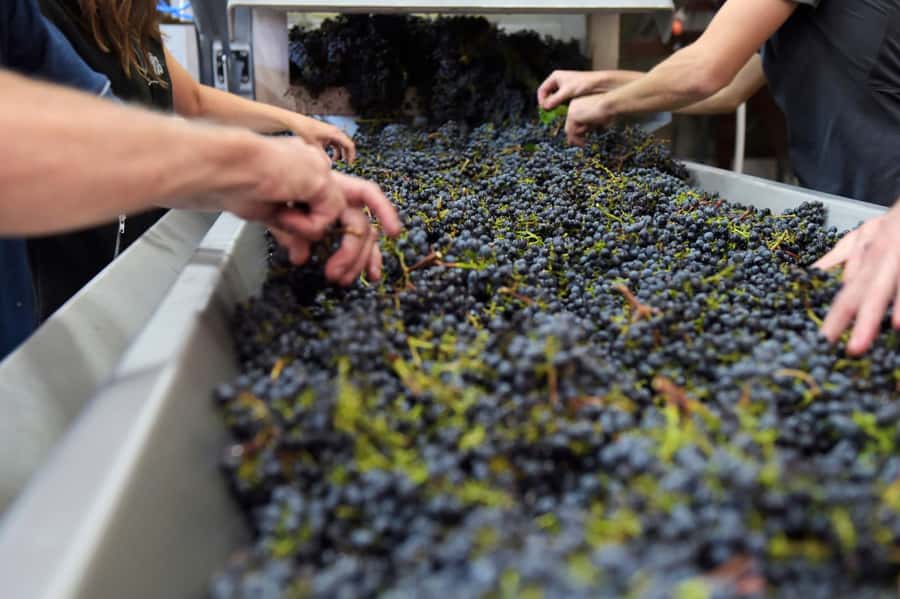 Stellenbosch: All-inclusive Private Wine Tour & Tastings - Price and value: what $158 buys you for 6.5 hours
