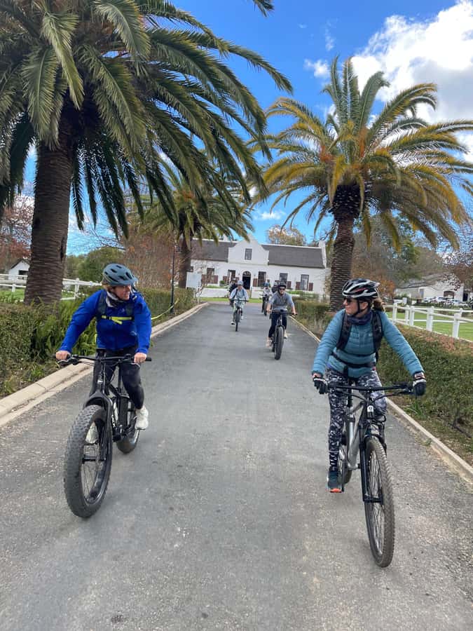 Stellenbosch: Countryside Banhoek valley E-Bike Wine Tour - Key points to know before you go