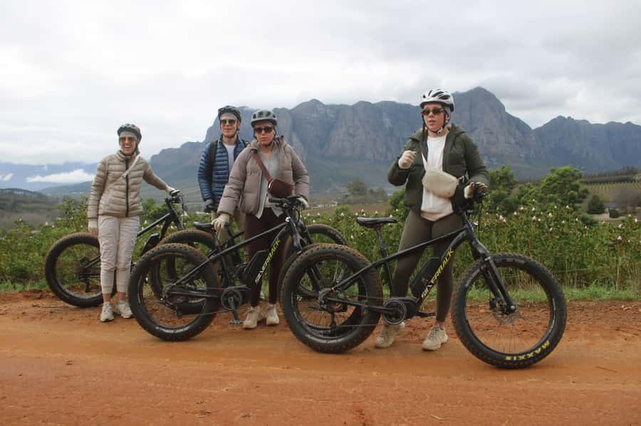 Stellenbosch: Countryside Banhoek valley E-Bike Wine Tour - Guides in the spotlight: energy, explanations, and the little stories