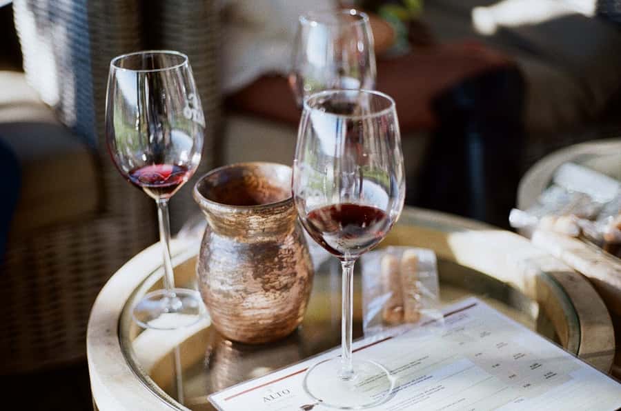 Stellenbosch: Daily Diffirent small group full day wine tour - Why This Stellenbosch Tour Feels Different From the Usual Bus Rides