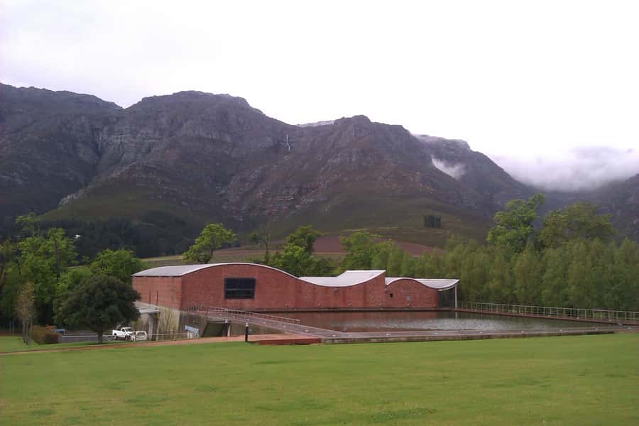 Stellenbosch: Daily Diffirent small group full day wine tour - Key Highlights Worth Looking Forward To
