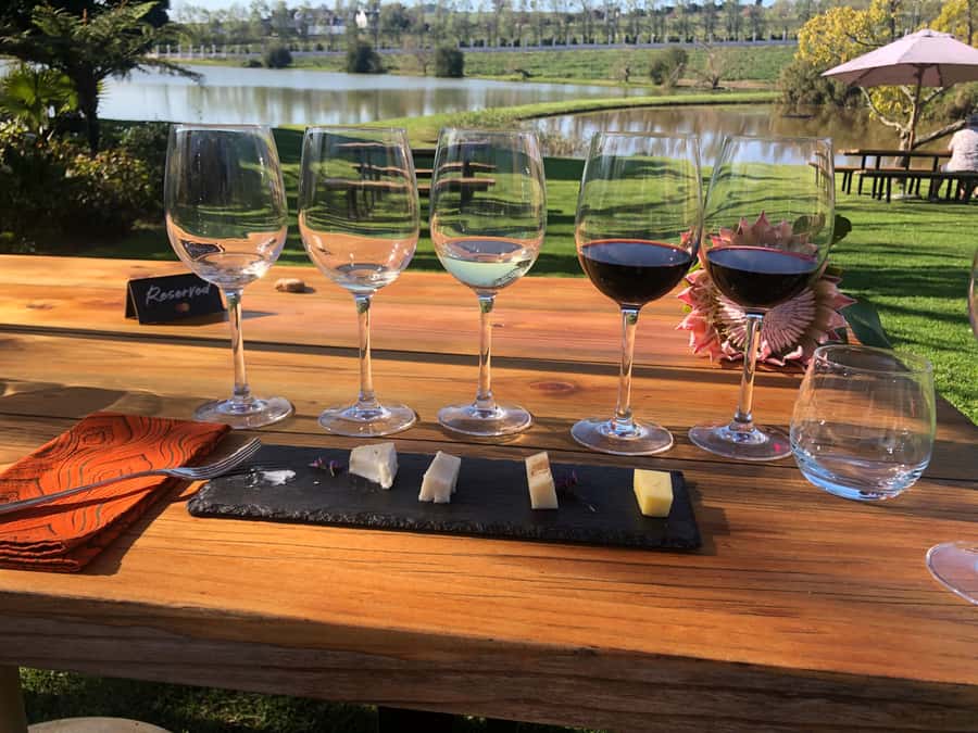 Stellenbosch: Daily Diffirent small group full day wine tour - Price Check: Why $118 Can Be a Good Deal, or Not