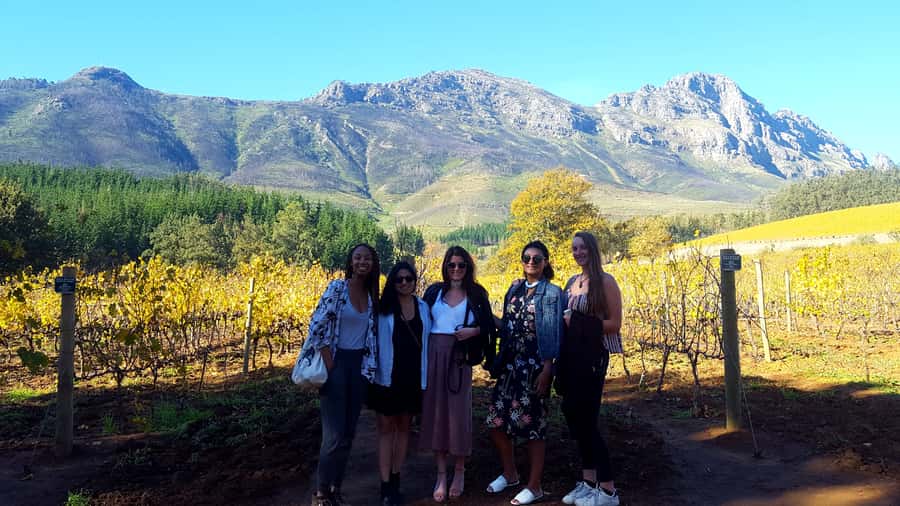 Stellenbosch: Eastern Route Hop-On Hop-Off Wine Tour - Key Highlights You’ll Actually Feel on This Tour