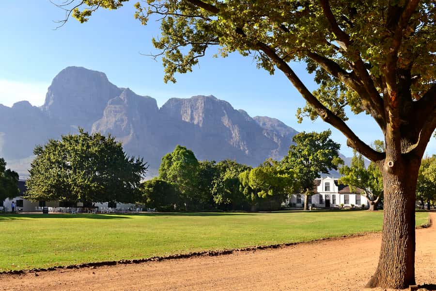 Stellenbosch: Eastern Route Hop-On Hop-Off Wine Tour - The Hop-On Hop-Off Game Plan (and How You Should Use It)