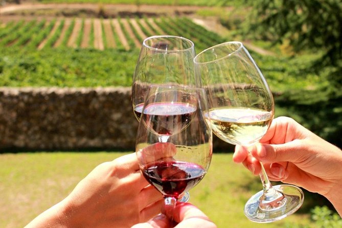 Stellenbosch, Franschhoek and Paarl: Full Day Wine Tour - Key highlights to know before you go