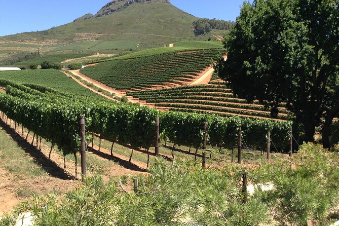 Stellenbosch Franschhoek Full-Day Tour with Cheese Tasting - Picking the right kind of day tour for this region