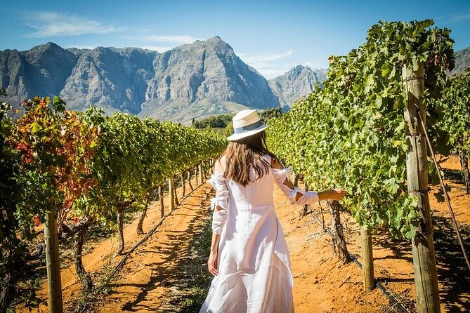 Stellenbosch & Franschhoek Wine Tasting Private Tour incl. Lunch - How the day flows from Cape Town pickup to wine-country timing