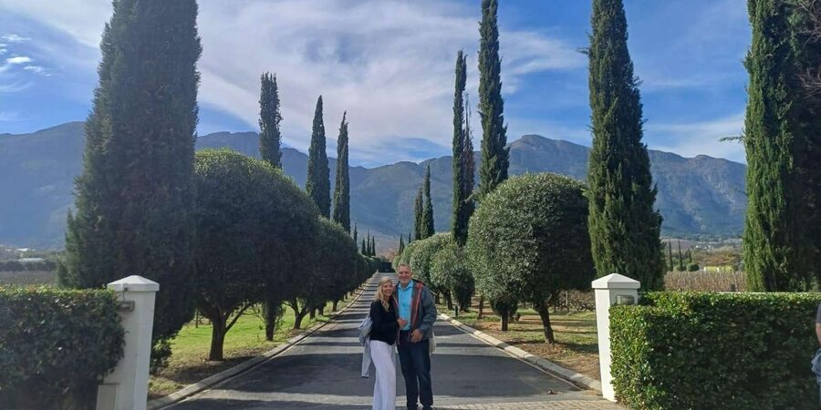 Stellenbosch, Franshoek ,Paarl Region (20 wine tastings) - Tokara Wine Estate: World-Class Reds and Olive Oil Country