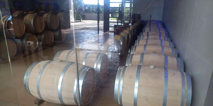 Stellenbosch, Franshoek ,Paarl Region (20 wine tastings) - Delheim Wine Estate Lunch: Pick a Main Course, Then Taste Again