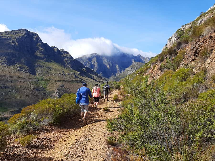 Stellenbosch: Half-Day Guided Nature Hike and Wine Tasting - Quick highlights for your Banhoek morning