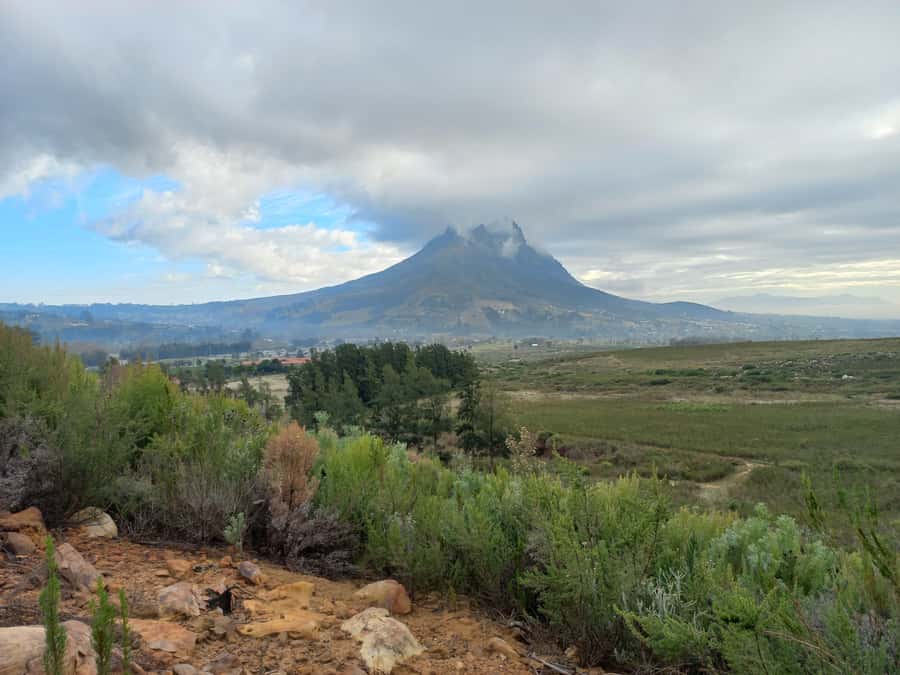 Stellenbosch: Half-Day Guided Nature Hike and Wine Tasting - How the guide turns scenery into real understanding