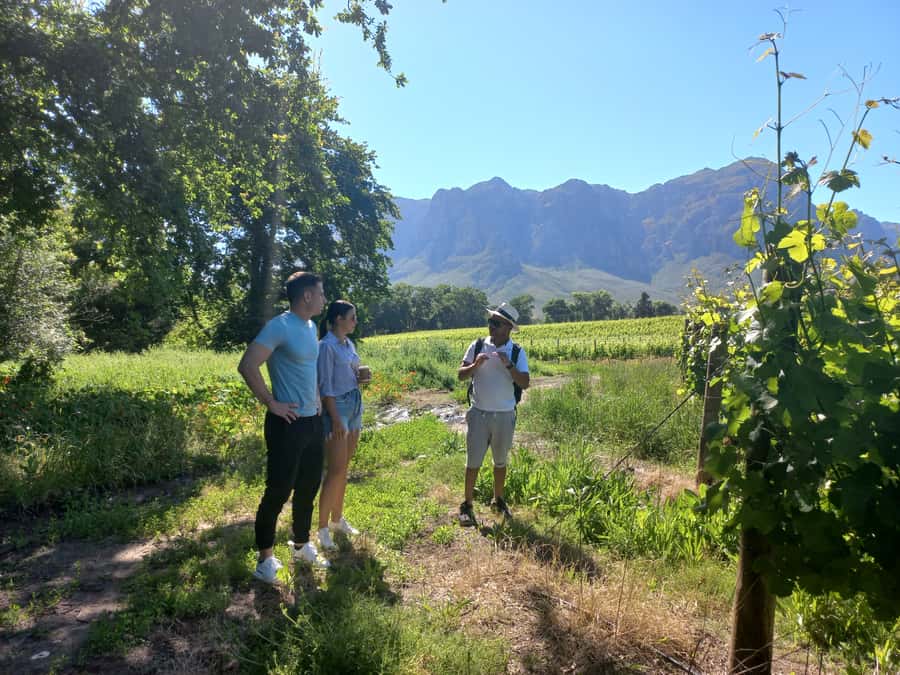 Stellenbosch: Half-Day Guided Nature Hike and Wine Tasting - What to bring so the hike feels comfortable