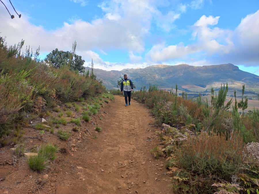 Stellenbosch: Half-Day Guided Nature Hike and Wine Tasting - Should you book this Banhoek hike and wine tasting?