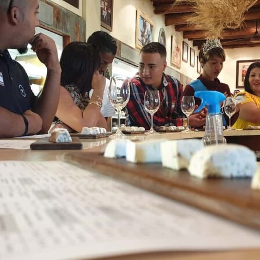 Stellenbosch: Half-Day Wine Tour - From Cape Town Pickup to the Winelands Drive