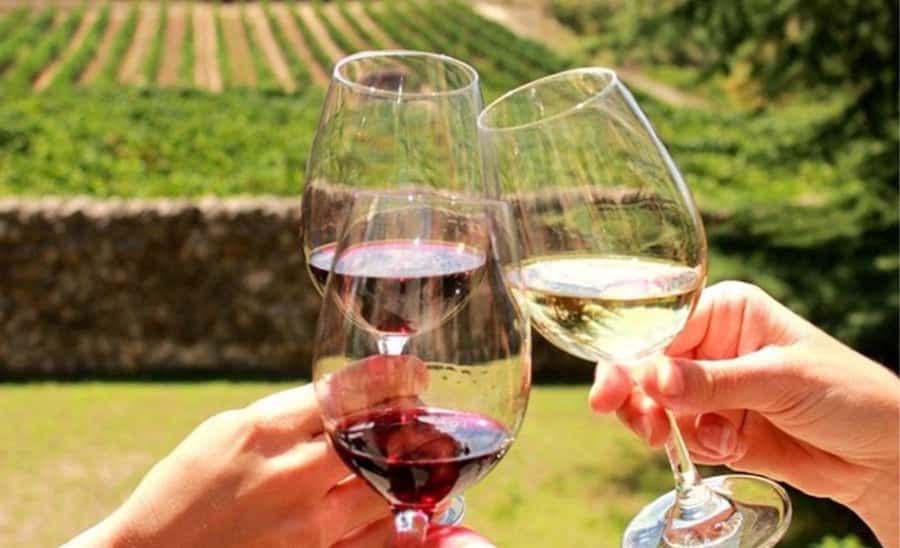 Stellenbosch: Half-Day Wine Tour - Vineyard One: Barrel-Shaped Pods, Cellar Visit, and Your Tasting Choices
