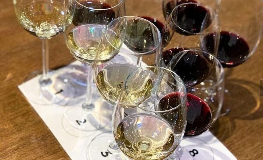 Stellenbosch: Half-Day Wine Tour - Vineyard Two: Natural Winemaking Style, Then Biltong + Wine