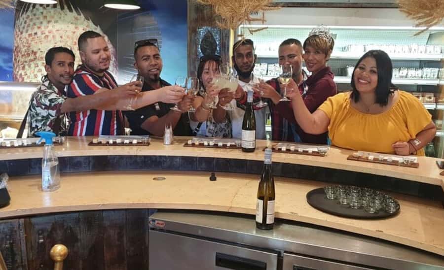 Stellenbosch: Half-Day Wine Tour - Price and Value: Is $55 a Smart Deal?