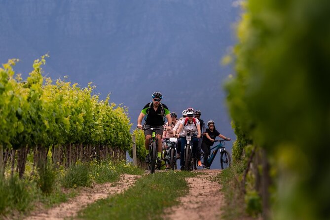 Stellenbosch Half Day Winelands Mountain Bike Tour - First pedal: getting to Skilpadvlei at 10:00 am