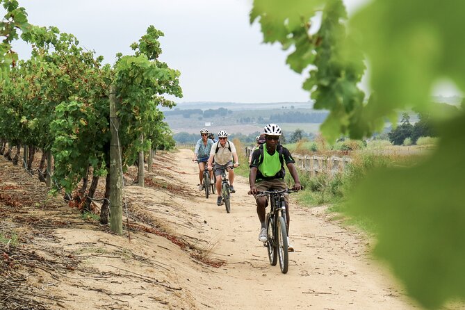 Stellenbosch Half Day Winelands Mountain Bike Tour - The wine tastings: two estates, guided, and worth your time