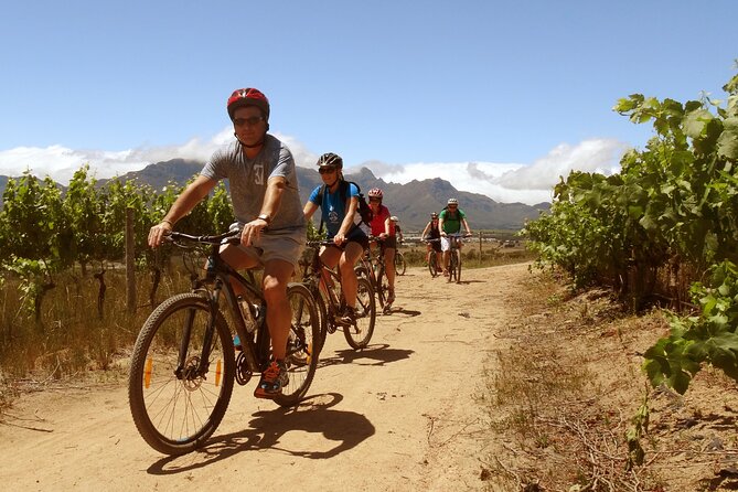 Stellenbosch Half Day Winelands Mountain Bike Tour - Stop 1, Skilpadvlei: tortoises, farm roots, and a working estate