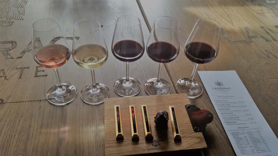 Stellenbosch: Historical Bike Tour & Wine Tasting - First wine estate in the valley: tasting with the view doing half the work