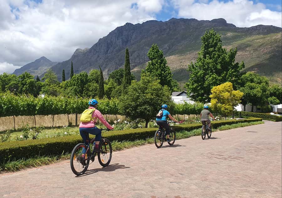 Stellenbosch: Historical Bike Tour & Wine Tasting - What you get for $92: strong value if you like wine and movement