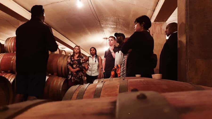 Stellenbosch: Historical Bike Tour & Wine Tasting - Riding Stellenbosch Town: history you can actually feel