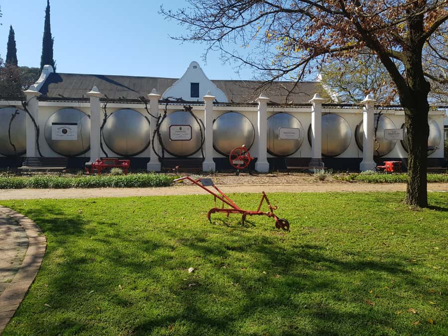 Stellenbosch: Hop-On Hop-Off Northern Route Wine Tour - Practicalities that can make or break the day