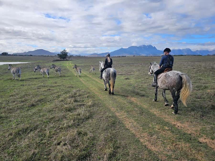 Stellenbosch: Horse Riding Wildlife Safari - Why this Stellenbosch horseback safari feels different