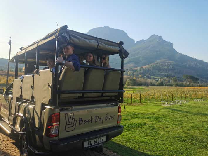 Stellenbosch North Guided Wine Safari (Tastings Excluded) - Meeting point, timing, and how the pace works